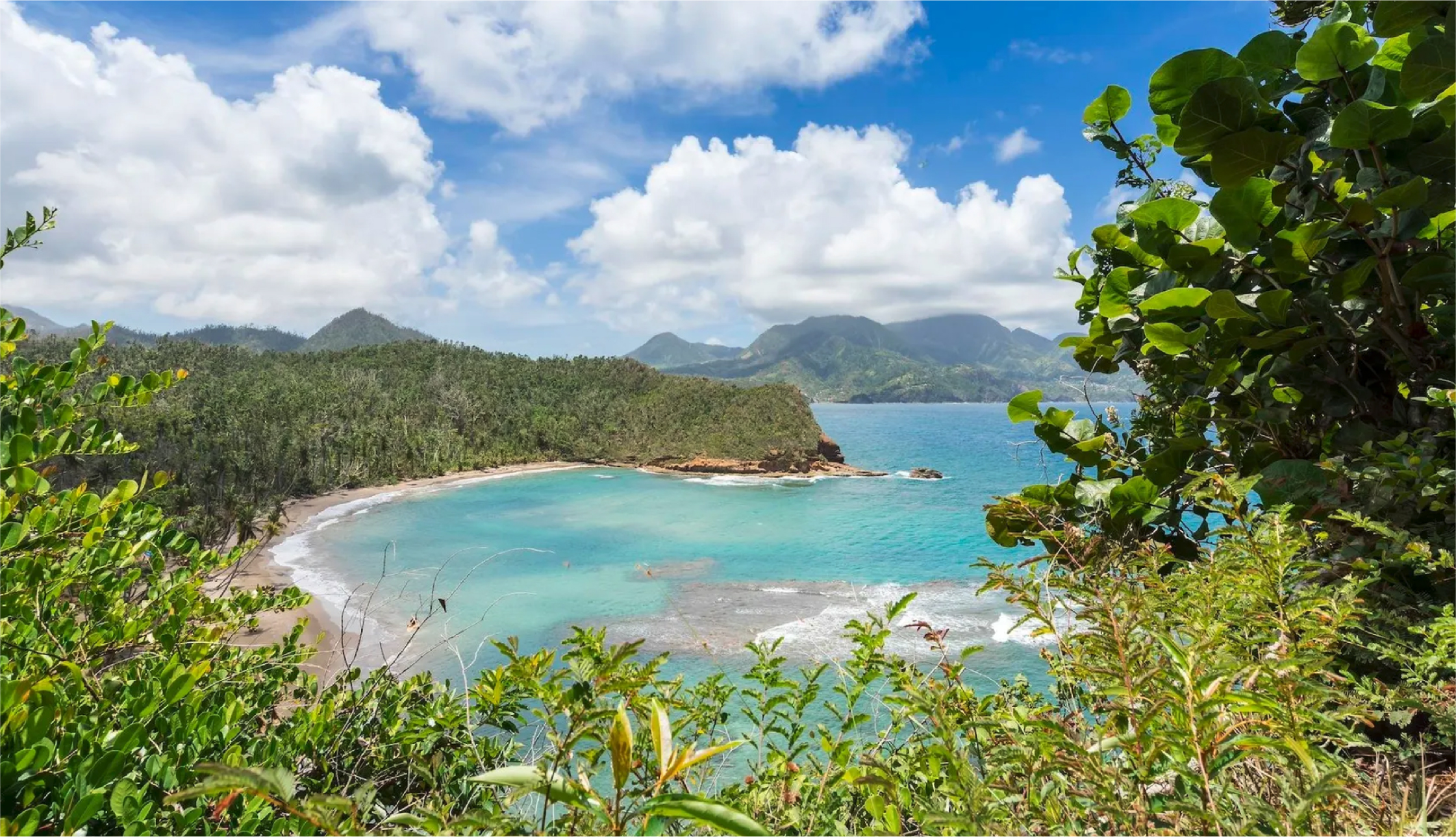 多米尼克海湾与山林景观